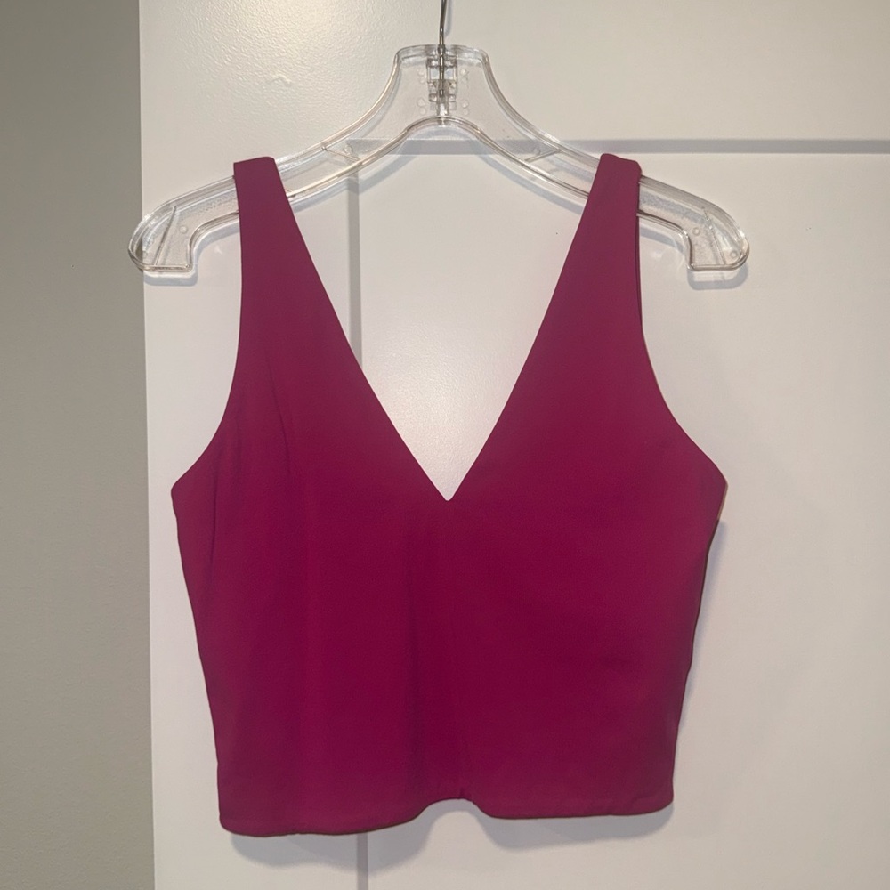 Aritzia Sleeveless Crop Top
